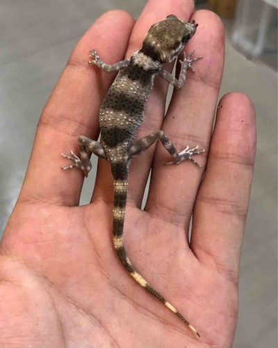 FullSizeRender