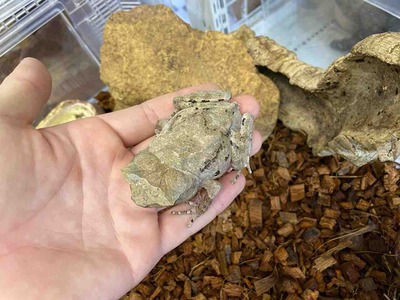 IMG_0695