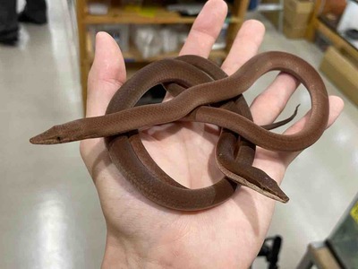 FullSizeRender
