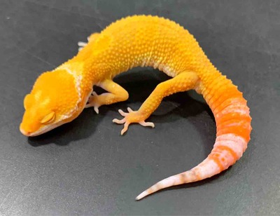FullSizeRender