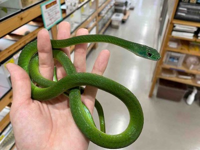 FullSizeRender