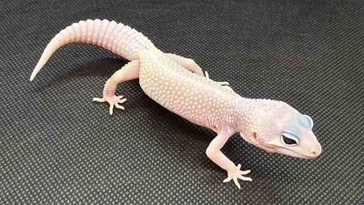 FullSizeRender