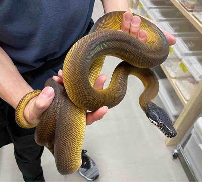 FullSizeRender