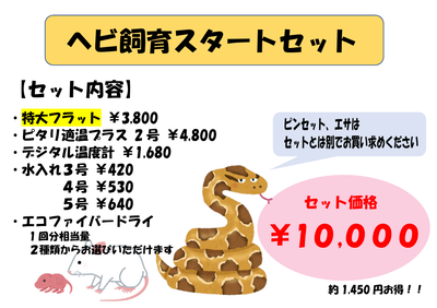 �����꡼�󥷥�å� 2026-03-10 170023