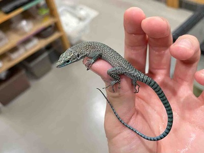 FullSizeRender