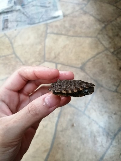 IMG_20200703_115003