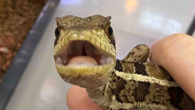 FullSizeRender