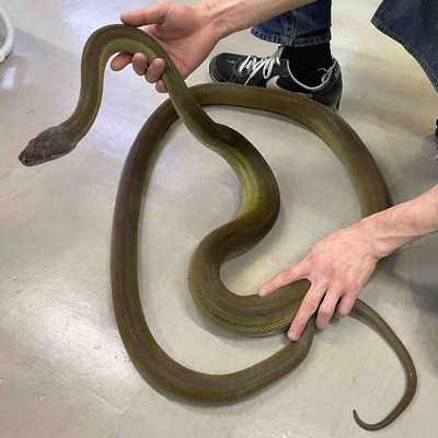 FullSizeRender