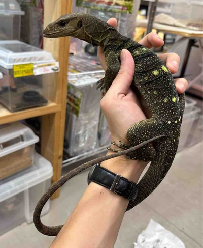 FullSizeRender