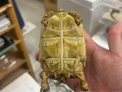 FullSizeRender