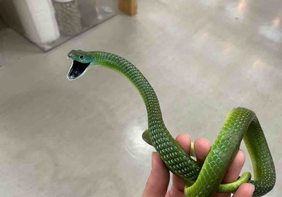 FullSizeRender