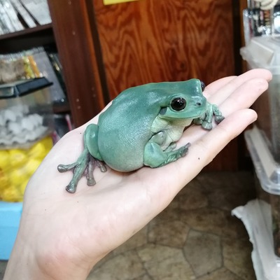 IMG_20200628_184306_1