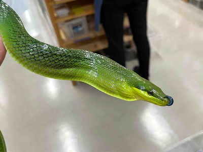 FullSizeRender