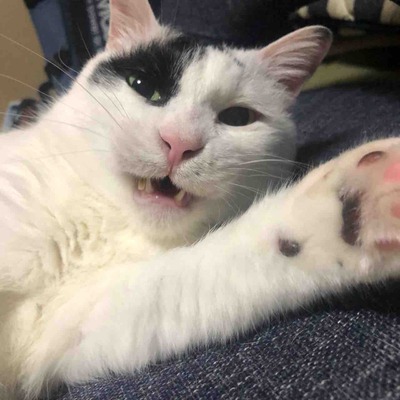 9B0FC5C6-E025-4858-8590-71FF70C7BA4A