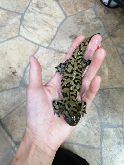 IMG_20200229_163033_1