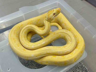 FullSizeRender