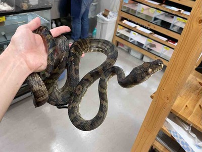 FullSizeRender