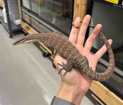 FullSizeRender