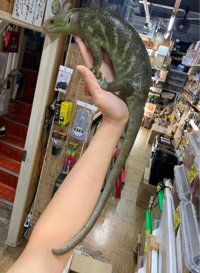 FullSizeRender