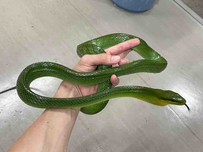FullSizeRender
