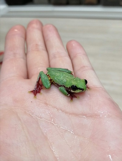 Screenshot_20201027_140515