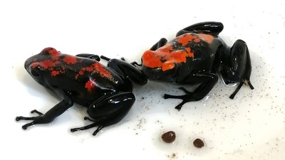 IMG_20210314_125434