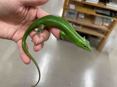 FullSizeRender
