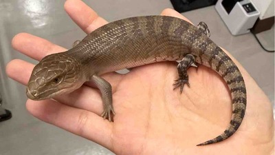 FullSizeRender