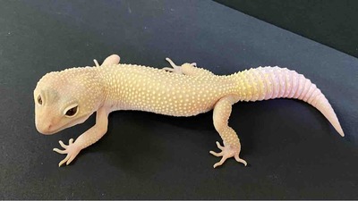 FullSizeRender