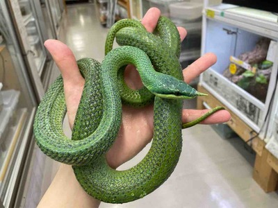 FullSizeRender