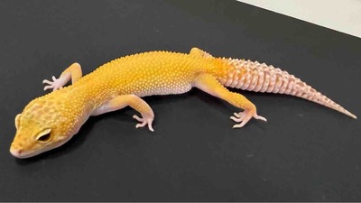 FullSizeRender