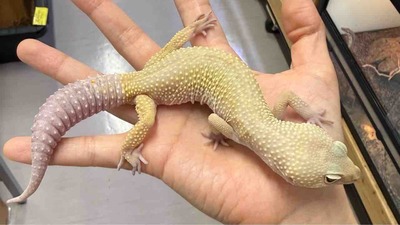 FullSizeRender