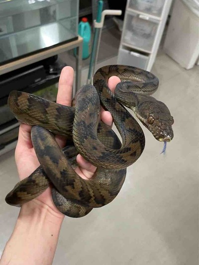 FullSizeRender