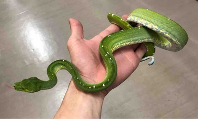 FullSizeRender