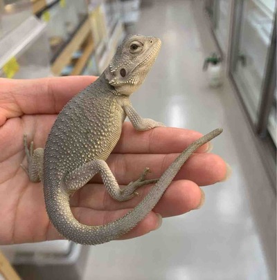 FullSizeRender