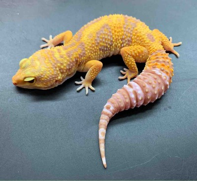 FullSizeRender