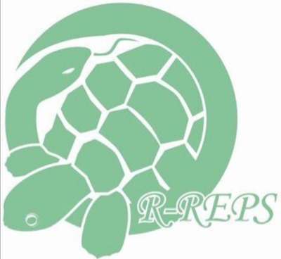 Screenshot_20200110_205636