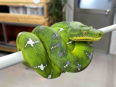 FullSizeRender