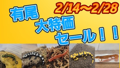 2025-02-12-15-55-07-931