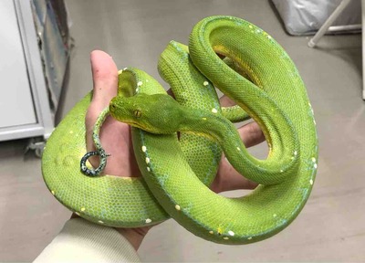 FullSizeRender