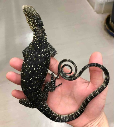 FullSizeRender