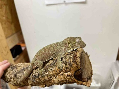 IMG_0103