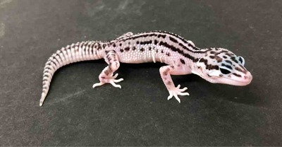 FullSizeRender