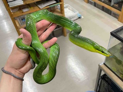 FullSizeRender