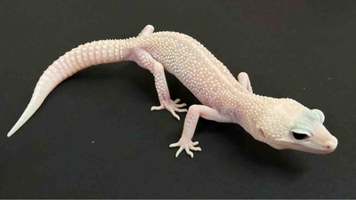 FullSizeRender