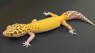 FullSizeRender
