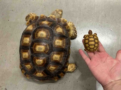 FullSizeRender
