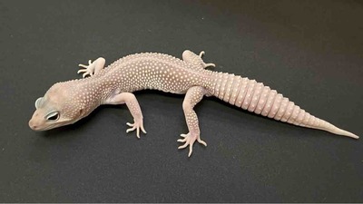 FullSizeRender