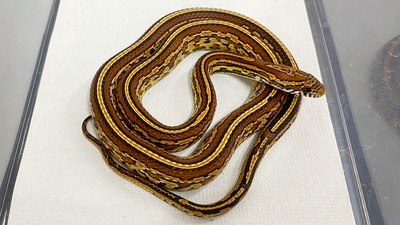 IMG_8763