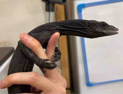 FullSizeRender